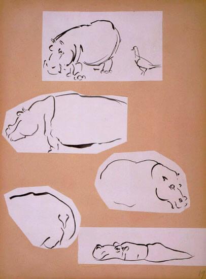 Hippo Sketches