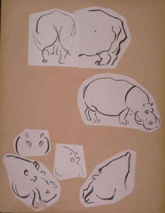 Hippo Sketches