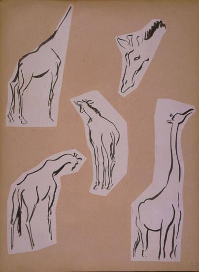 Giraffe Sketches