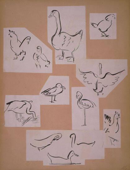 Hens, Ducks, Bird Sketches