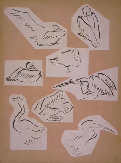 Bird Sketches