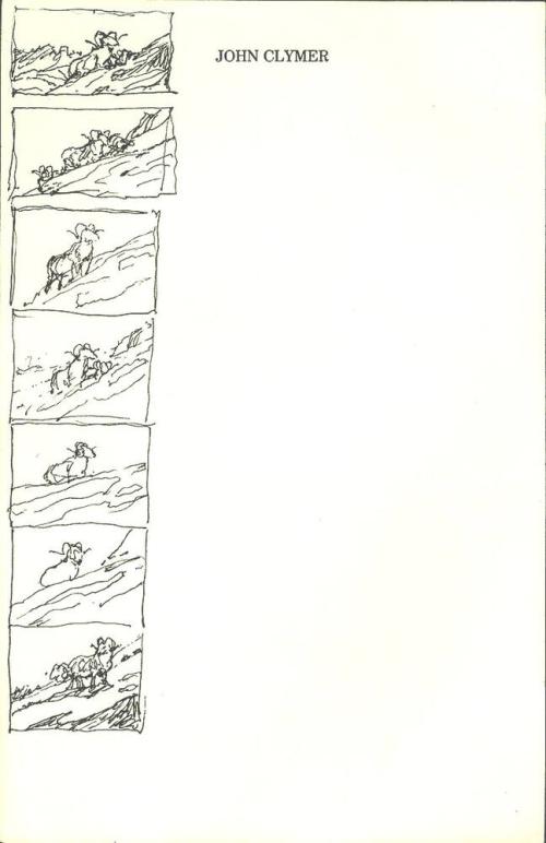 7 Thumbnail Sketches