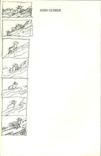 7 Thumbnail Sketches