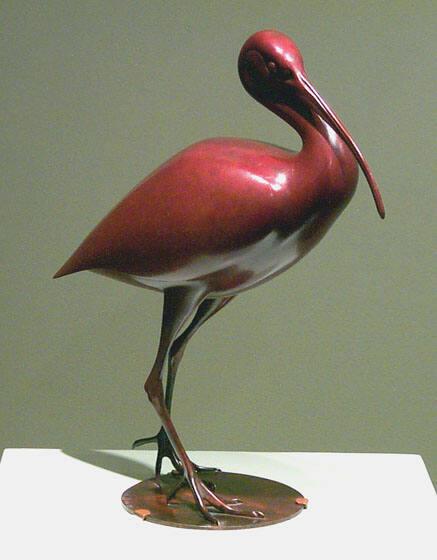 Scarlet Ibis