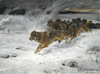 A Pack of Wolves