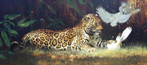 Jaguar and Cattle Egrets