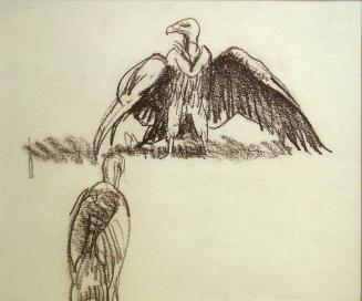Untitled Sketch - Vulture