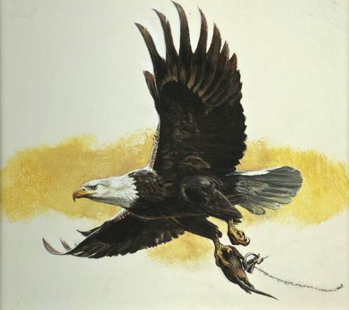 The Way of the Eagle