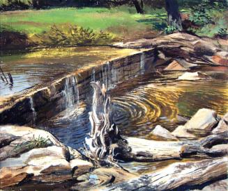 Roxbury spillway dam