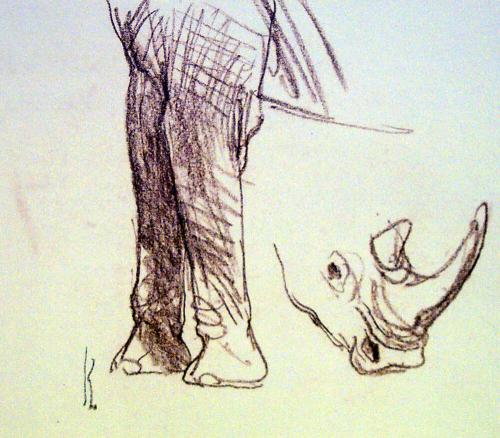 Sketches of Rhino and Elephant legs