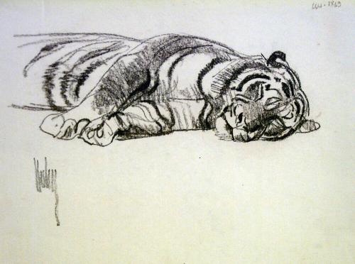 Sleeping Tiger