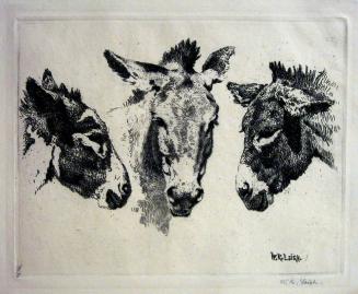 Donkey Heads