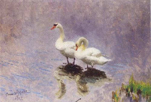 Swans