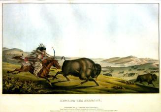 Hunting the Buffalo