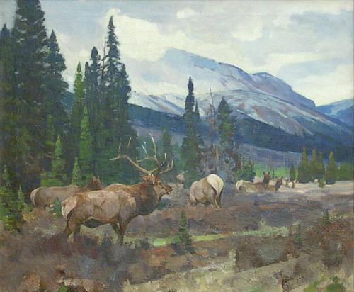Herd of Elk