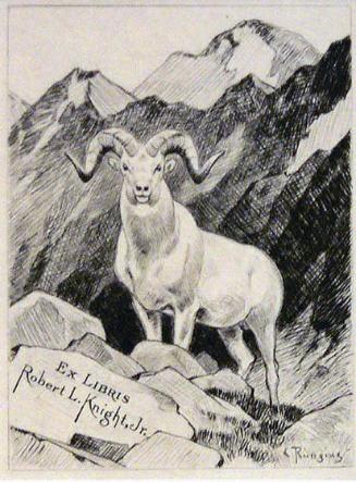 Knight Bookplate