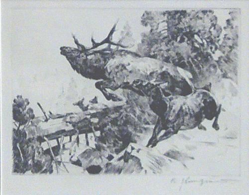 Stampede