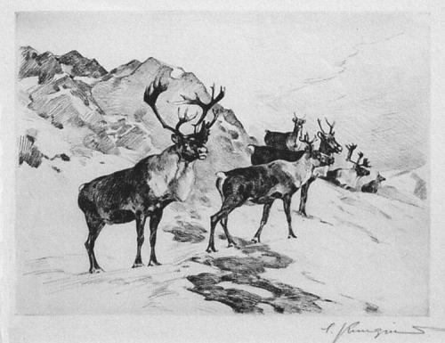 Osborn's Caribou