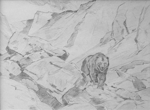 Old Baldface (sketch for drypoint)