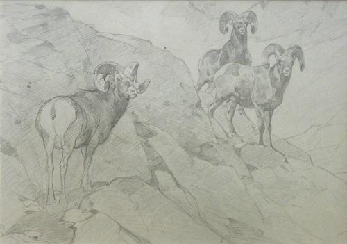 Wanderers Above Timberline sketch (sketch for possible drypoint)