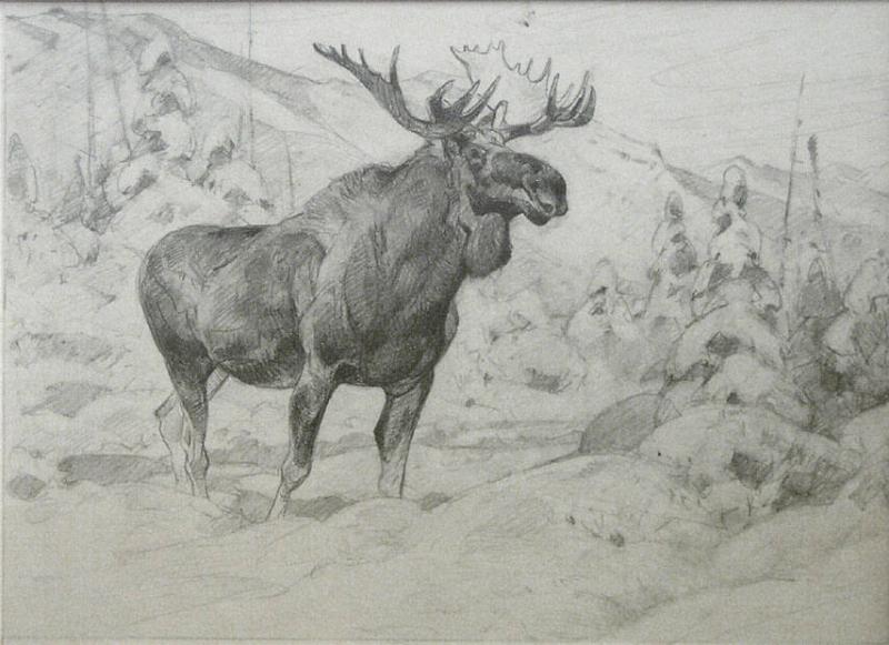 Sketch of a moose – Works – eMuseum