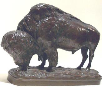 Buffalo