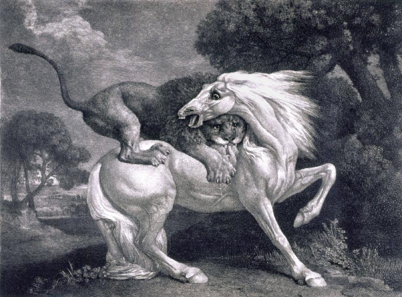 A Horse Attacked by a Lion Works eMuseum