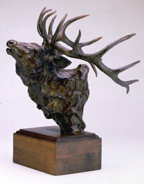 Bull Elk Bust