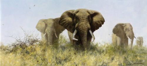 The Four Gentlemen of Selous