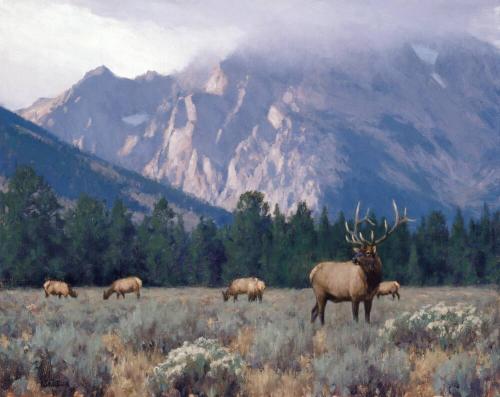 Evening Storm - Mt. Moran