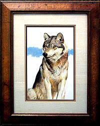 Wolf portrait