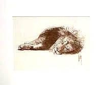 Untitled - Lion sketch