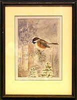 Untitled - Black-capped Chickadee